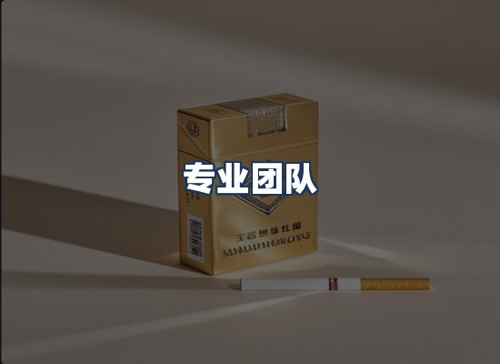 专业团队